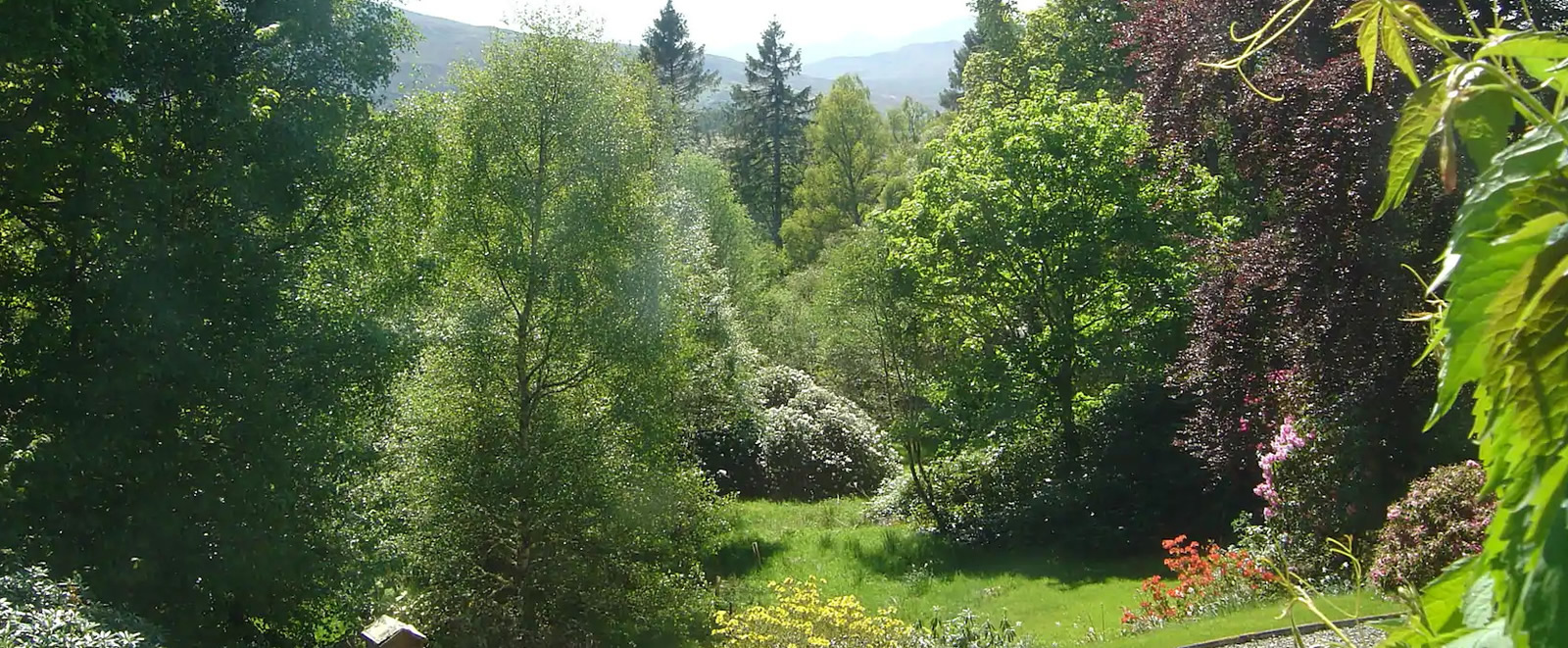 Corriemoillie Lodge